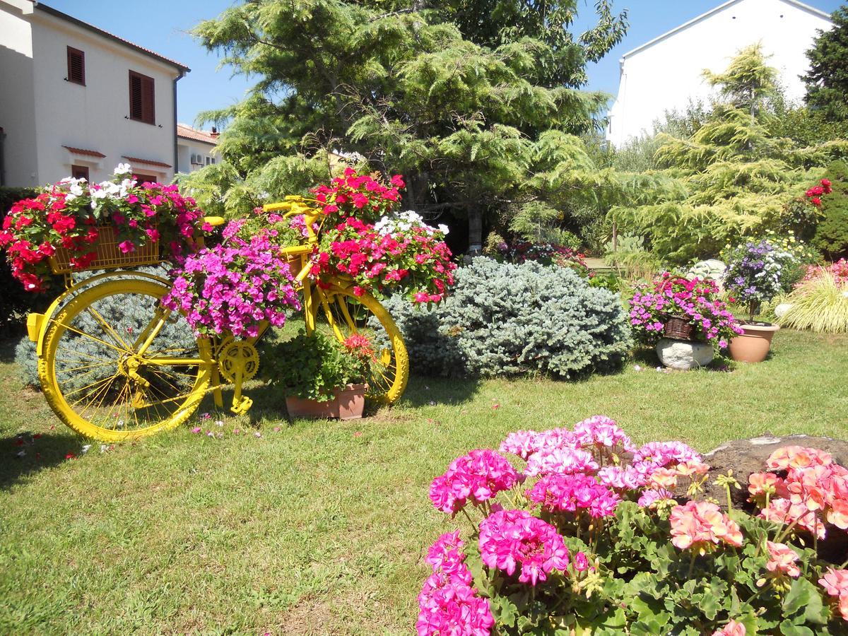 Apartments Mihalic I บัชกา ภายนอก รูปภาพ